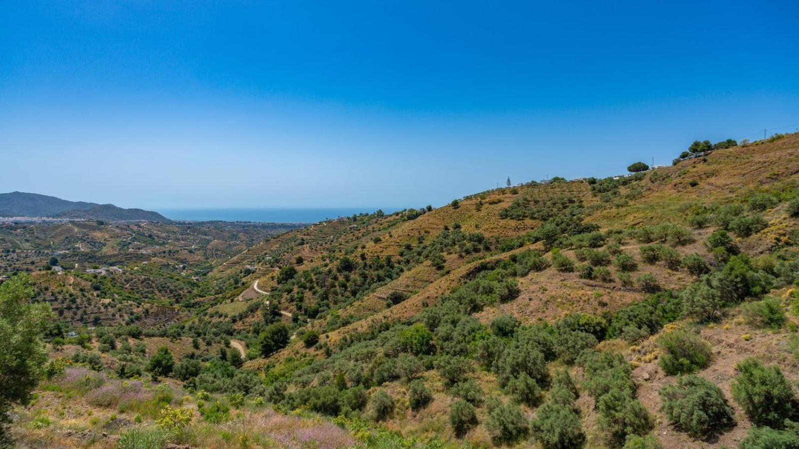Cortijo El Mirador Frigiliana By Ruralidays Villa Eksteriør billede
